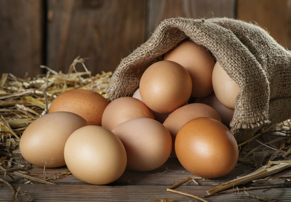 Save the Eggs! Why Your Chickens are Eating Their Eggs and How You Can Stop It