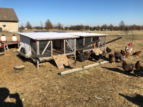 Chickshaw with Best Nest Boxes