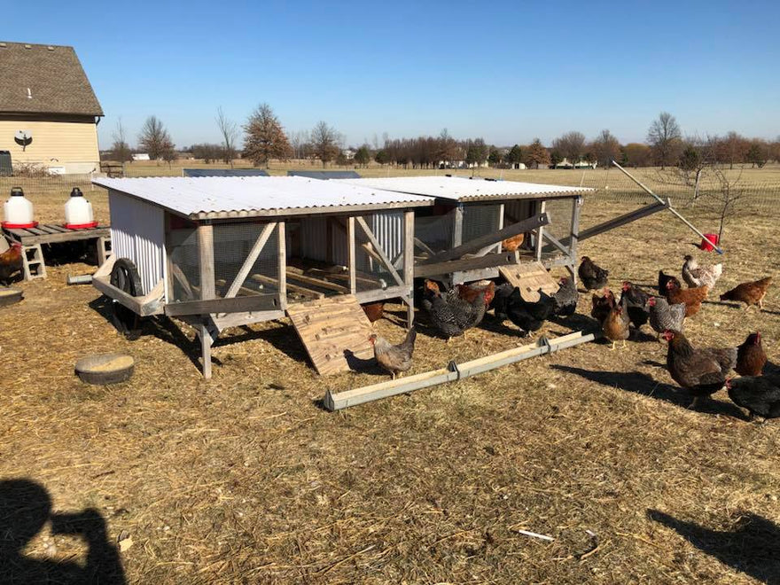 Chickshaw with Best Nest Boxes