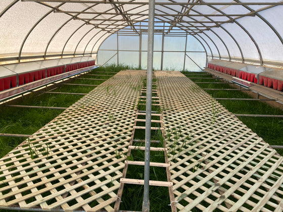 Farmer uses 1 PerchPopper for multiple nest boxes
